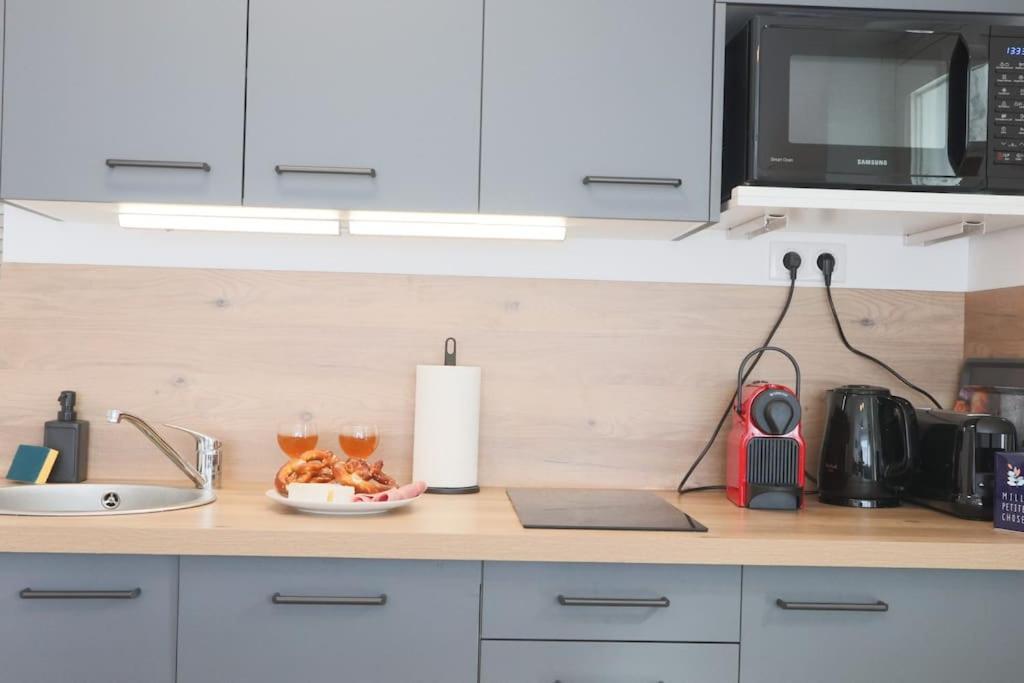 Apartament {Le Factory}, Proche Euroairport Saint-Louis  Zewnętrze zdjęcie